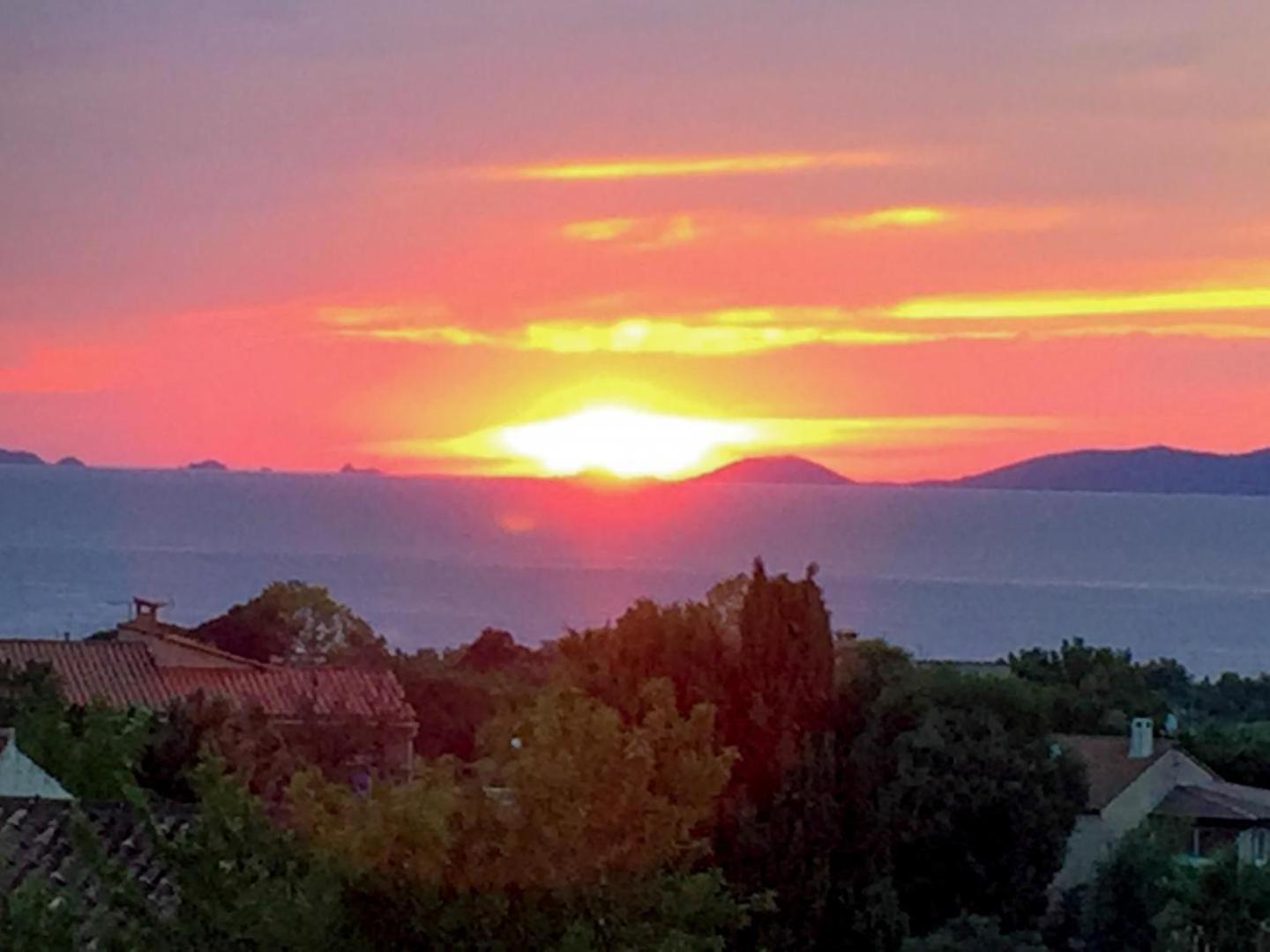Corsicadream Arone Superbe Appartement Dans Villa, Vue Panoramique Mer, Piscine, Proche Porticcio Pietrosella Zewnętrze zdjęcie