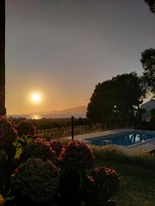 Corsicadream Arone Superbe Appartement Dans Villa, Vue Panoramique Mer, Piscine, Proche Porticcio Pietrosella Zewnętrze zdjęcie